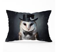 Owl In A Top Hat Cushions Warren Reed - Designer Multi 33cm x 48cm