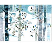 Owl in Moonlight Deluxe Boxed Cards (Christmas Cards, Greeting Cards)