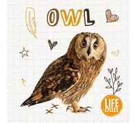 Owl (Life Cycles)