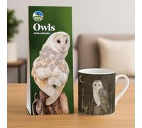Owl Lovers Gift Set: 2026 RSPB Owls Slim Wall Calendar with Matching Barn Owl Mug
