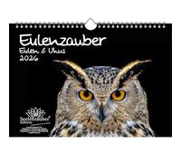 Owl Magic Owls and Owls DIN A4 Calendar for 2026 - Gift Set Contents: 1 x Calendar, 1 x Christmas Pendant, 1 x Greeting Tag (Total 3 Pieces)