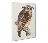 Owl On A Branch By Theo Van Hoytema Canvas Print | Gallery Wrapped 30mm Frame Wall Art | 24x16 inches | Ready to Hang | Classic Animals Picture | Living Room Bedroom Lounge Office