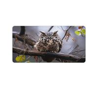 Owl on A Branch Desk Pad with Non-Slip Waterproof Rubber Base Large Extended Gaming Mouse Pad 32.6x11.8 Inch Large Mouse Pads Desk Mat for Desktop Office Home Laptop Blotter