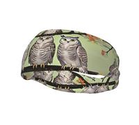 Owl On A Branch Pattern Sports Sweatband Headscarf Head Bands for Women Men Suitable for Running Yoga Fitness Football