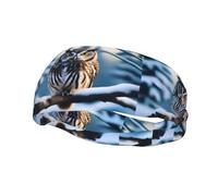Owl On A Branch Pattern Sports Sweatband Headscarf Head Bands for Women Men Suitable for Running Yoga Fitness Football