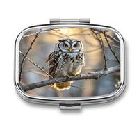 Owl on A Branch Pill Case 2 Compartments Travel Pill Organizer for Pocket Small Pill Box Portable Pill Container Metal Medication Holder to Hold Vitamin Fish Oil Supplement