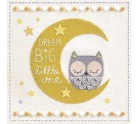 Owl On Moon New Baby Card by Paper Rose