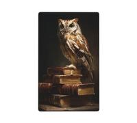 Owl On Old Book Stack Dark Academia Single Toggle Blank Wall Plate Light Switch Cover Decorative 1 Gang for Kitchen Room Bathroom Size 11.4x7cm