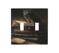 Owl On Old Books Fantasy Dark Mood Double Gang Toggle Light Cover Wall Plate Switch Decor Standard Size - 11.4x11.4cm
