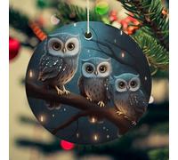 Owl on Tree Christmas Ceramic Ornaments with Gold String - 2.8 Inch Round Double-Sided Porcelain Xmas Tree Decor for Fireplace Mantel, Farmhouse Winter Holiday Hanging Ornaments