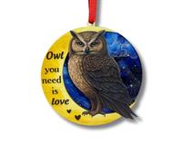Owl Ornament for Christmas Trees, Owl Ornament Hanging with 2 Layers Wood and Acrylic, Holiday Present Ideas, Mystical for Animal Lovers, Keepsake for Any Occasions