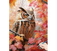Owl Paint by Numbers for Adults Animals Painting by Numbers for Aadults Kids Canvas Oil Paintings with Acrylic Pigment Kits Hobbies for Adults Women Christmas Decorations Room Decor Gifts 50x70cm A-64