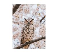 Owl Paint by Numbers for Adults Flower Painting by Numbers for Adults, Art Supplies with Color Canvas for Painting 32x24Inch 36 Colors of Acrylic Paint and Brush, Wall Art for Room Decor 2YH-14910