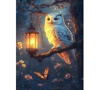 Owl Paint by Numbers for Adults, Paint by Numbers Forest Pattern DIY Acrylic Oil Painting Kits, with 3 Brushes, Simple Painting Kits for Beginner Kids for Home Wall Decor Gifts 50X70cm, Model 1429