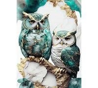 Owl Paint by Numbers for Adults,Painting by Number Kits Canvas,DIY Easy Cheerful Painting for Beginners,Wall Decor,Gifts (owl)