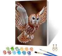 Owl Paint by Numbers for Adults with Frame, Wing Paint by Numbers Kits, Easy Painting Kits for Adults & Beginners with Brushes and Acrylic, for Home Wall Decor, Relax, Gifts for Women, 24x36in E-9926