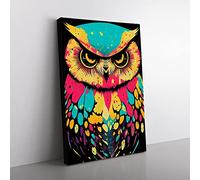 Owl Paint Splash No.3 Abstract Canvas Print for Living Room Bedroom Home Office Décor, Wall Art Picture Ready to Hang, 76x50 cm (30x20 Inch) CAN3020-V1022-CK-3131
