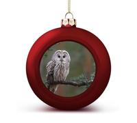 Owl Perched on A Branch Cute Baubles Christmas Balls