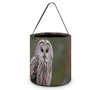 Owl Perched on A Branch Halloween Tricking Or Treating Bag