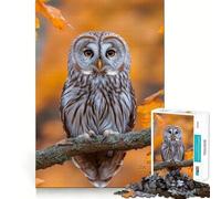 Owl Perched on Branch in Autumn 1000 Piece Jigsaw Puzzles for Teenagers Jigsaw Memory Lift Light Relax Image Assembly (50x75cm)