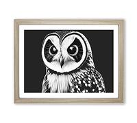 Owl Portrait Monochrome Framed Wall Art Print A2 Oak