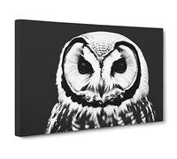 Owl Portrait Monochrome Vol.1 Canvas Print | Gallery Wrapped 30mm Frame Wall Art | 30x20 inches | Ready to Hang | Contemporary Animals Picture | Living Room Bedroom Lounge Office