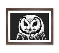 Owl Portrait Monochrome Vol.1 H1022 Framed Print for Living Room Bedroom Home Office Décor, Wall Art Picture Ready to Hang, Walnut A4 Frame (34 x 25 cm)