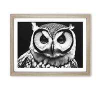 Owl Portrait Monochrome Vol.3 Framed Print | A2 Oak Framed Wall Art | Ready to Hang | Modern Animal Picture | Living Room Bedroom Lounge Office