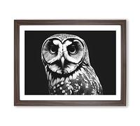Owl Portrait Monochrome Vol.5 Framed Print | A2 Walnut Framed Wall Art | Ready to Hang | Modern Animal Picture | Living Room Bedroom Lounge Office