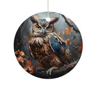 Owl Print Double-Sided Ceramic Christmas Ornaments - Round Hanging Mini Xmas Tree Decorations, Ideas for Farmers, Rustic Home Decor for Indoor Outdoor Tree Decor