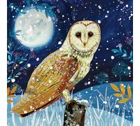 Owl - RSPB Small Square Christmas 10 Card Pack