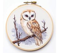 Owl series1,owl Cross Stitch Kits, 14ct, 90x90 Stitch, 16x16cm,100% Cotton, Small Easy Counted Cross Stitch kit