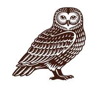 owl Silhouette with textu Feather Details Fine Carving Decals 67.2x67.2cm Do not Damage The Wall Surface Coffee