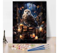 Owl Sitting on a Stack of Books Paint by Numbers Gift Decoration Books and Candles Drawing Kit Paint and Brushes Oil Painting DIY Owl Painting by Numbers for Adults Beginner 16x20 Inch Without Frame