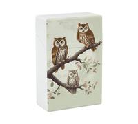 Owl Standing Cigarette Case for Regular King Size 85mm 20 Capacity Push to Open Hard Shell Cigarette Box Portable & Waterproof Cigarettes Case for Men Women Pocket Cigarettes Holder, Cig Accessories