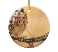 Owl Standing on The Tree Print Round Xmas Ornaments, Christmas ceramic pendant Hanging for Xmas Tree Home Indoor Outdoor Decor
