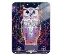 Owl Tarot Easy Clean digital food scales for kitchen 11lb/0.18oz, 5kg/5g digital cooking scale with 4 unit for weight loss roasting Baking (Batteries not Included)