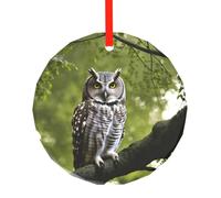 Owl Tree Branches Christmas Tree Set With Ornaments,Ornament Gift Decor For New Year Door Wall Decor