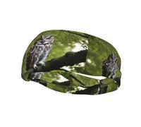 Owl Tree Branches Print Stretchy Sports Sweatband For Men Women For Running Basketball Gym More Sweatband