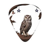 Owl under the starry sky Printed pick set - 12 pieces, thin, medium and thick guitar picks, suitable for guitar, bass, electric guitar and ukulele