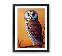 Owl Upon A Branch No.1 Framed Print for Living Room Bedroom Home Office Décor, Wall Art Picture Ready to Hang, Black A3 Frame (34 x 46 cm)