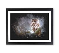 Owl Upon A Tree Branch Paint Splash Modern Art Framed Print | A3 Black Framed Wall Art | Ready to Hang | Modern Floral Picture | Living Room Bedroom Lounge Office