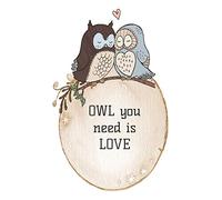 OWL you need is love: Journal with 100 dot grid pages featuring a sweet owl couple on the front and back covers, size is 5" x 8"