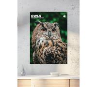 Owls 2026 Calendar, A3, Wirobound, Full Colour