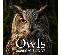 Owls 2026 Calendar: Beautiful Owl Photography