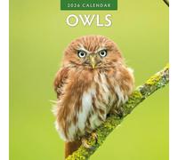 Owls - 2026 Square Wall Calendar - by Red Robin Publishing