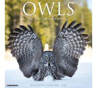 Owls 2026 Wall Calendar