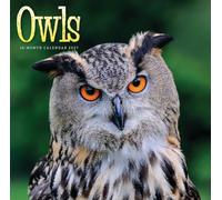 Owls 2027 Square Calendar | 2027, Square Format