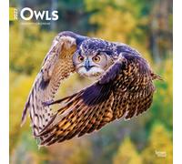 Owls 2027 Square Flap by Browntrout (Calendar)