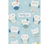 Owls A5 Diary 2026, General Diaries, Week To View, Animals, Gift